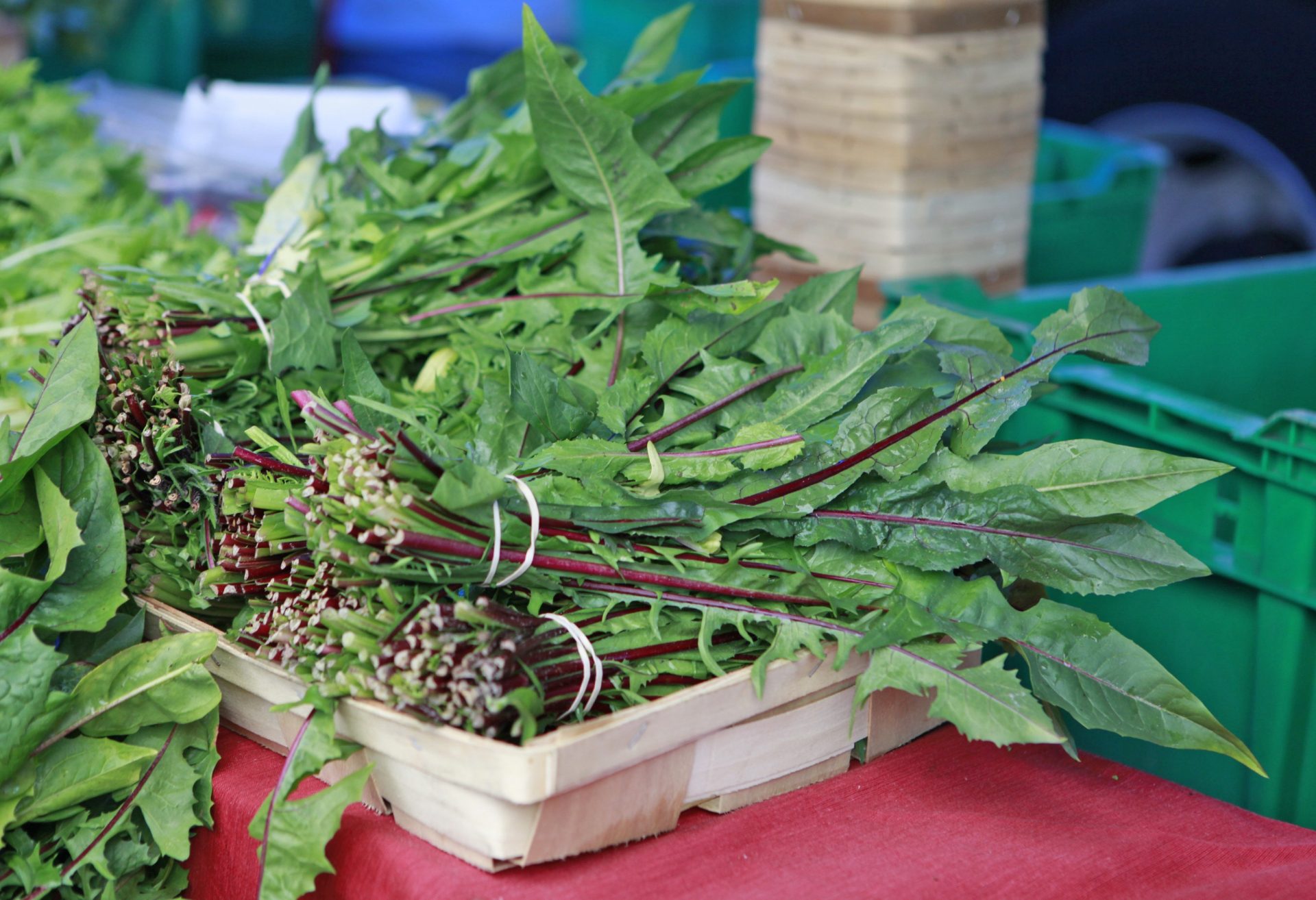 unusual greens including edible weeds