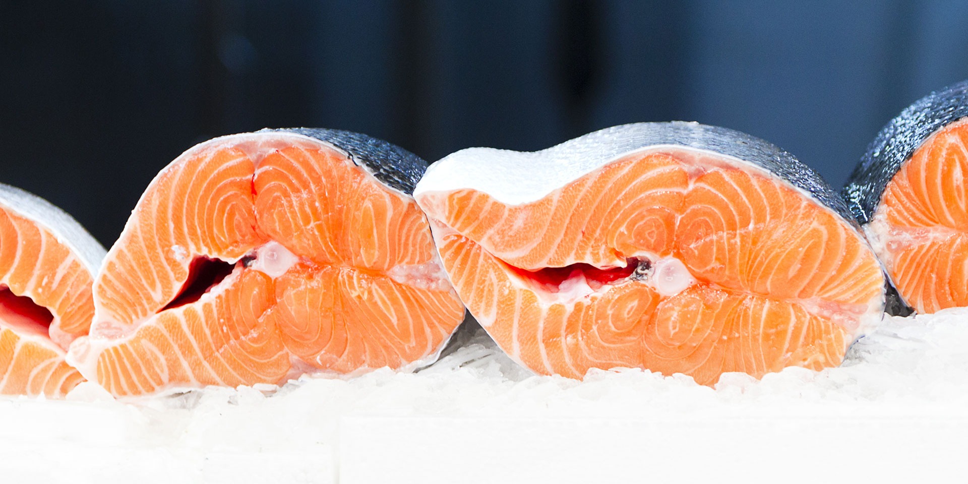 farmed salmon can sushi be sustainable