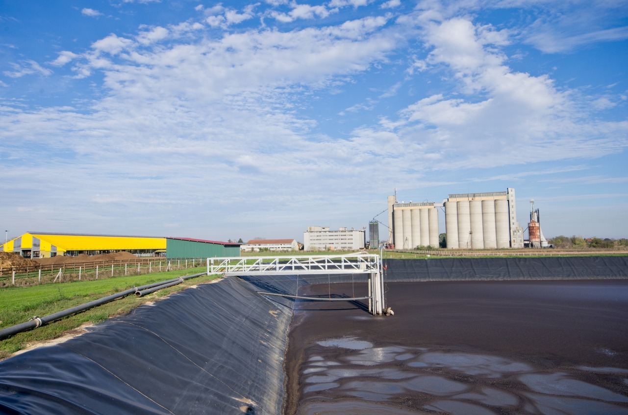 animal waste lagoon