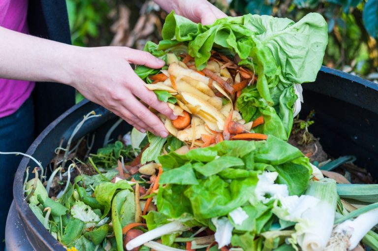 food waste going into bin