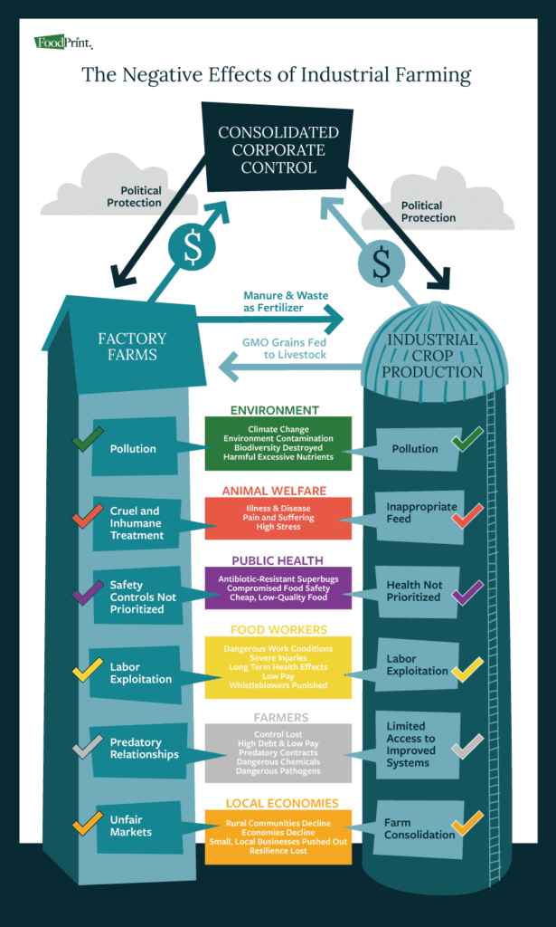 The Negative Effects of Industrial Farming