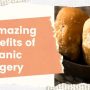 organic jaggery benefits