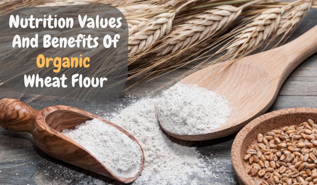 Benefits Of Organic Wheat Flour