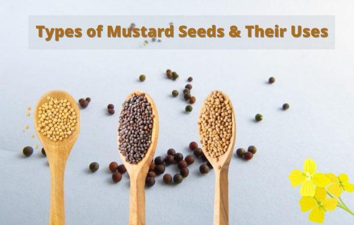 Types of Mustard Seeds