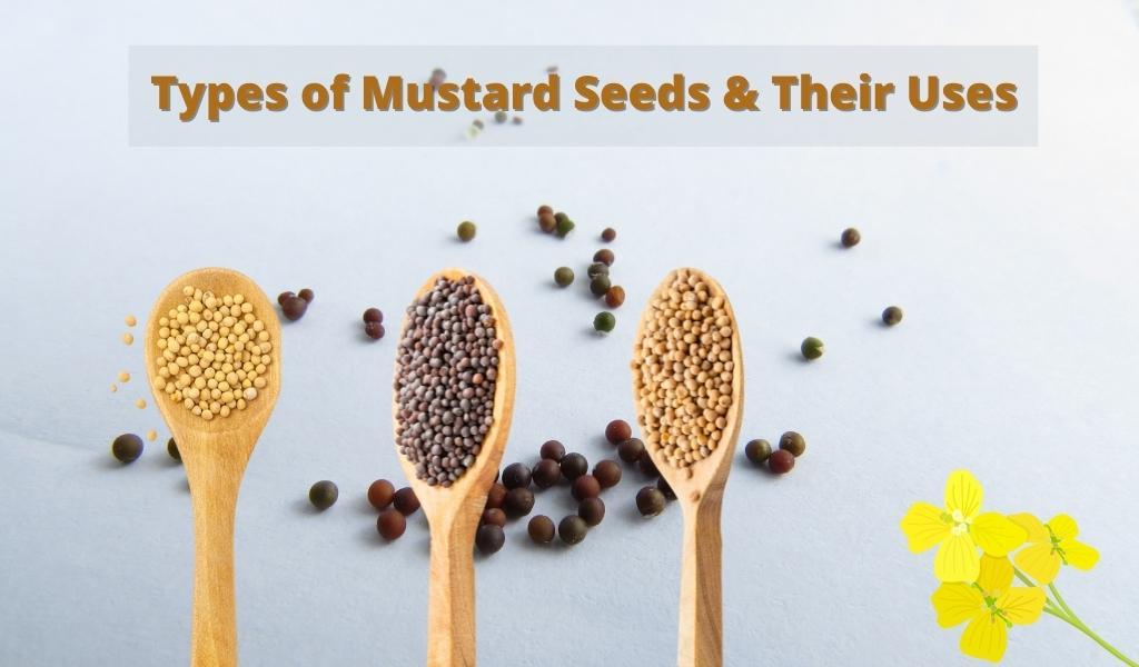 Types of Mustard Seeds