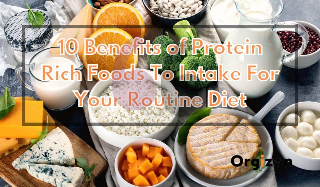 Benefits of Protein Rich Foods
